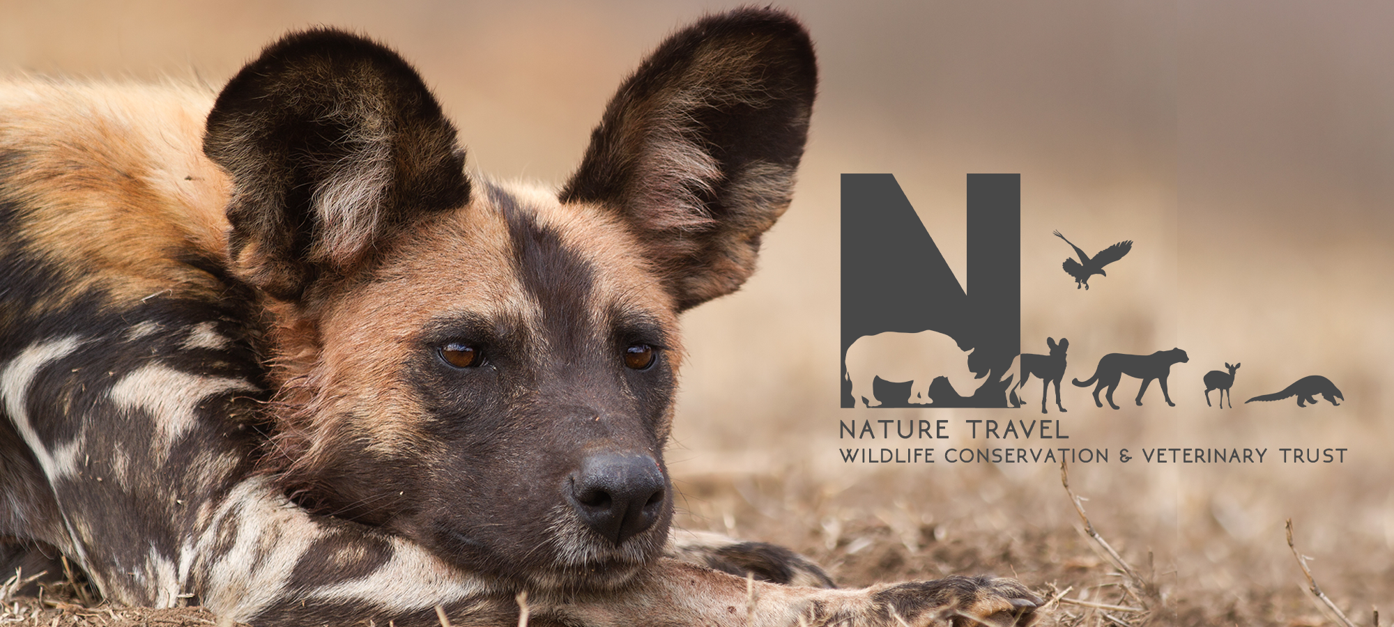 Nature Travel Wildlife Conservation & Veterinary Trust